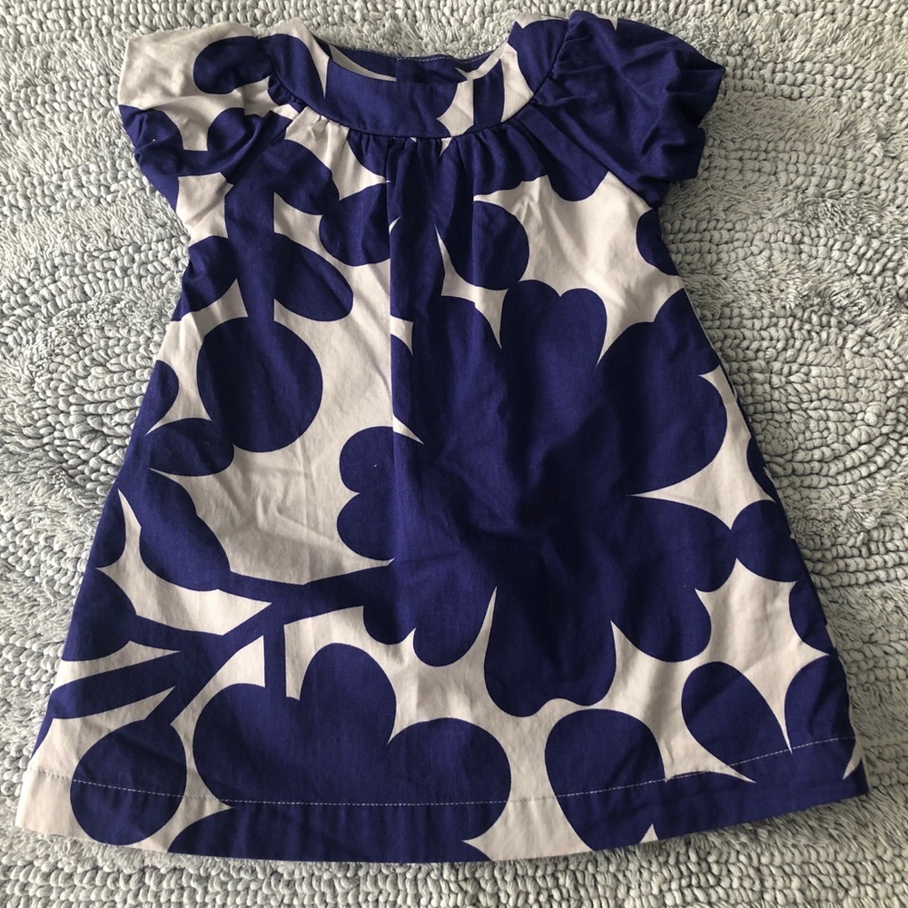 Girls blue & grey floral dress. Carter’s size 9M
